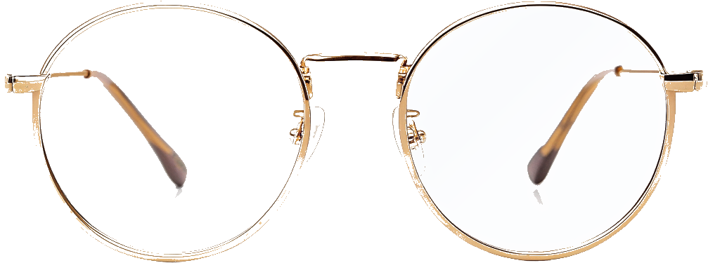 Rowan glasses in Brushed gold, front view