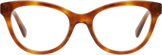 Alba in Amber tortoise